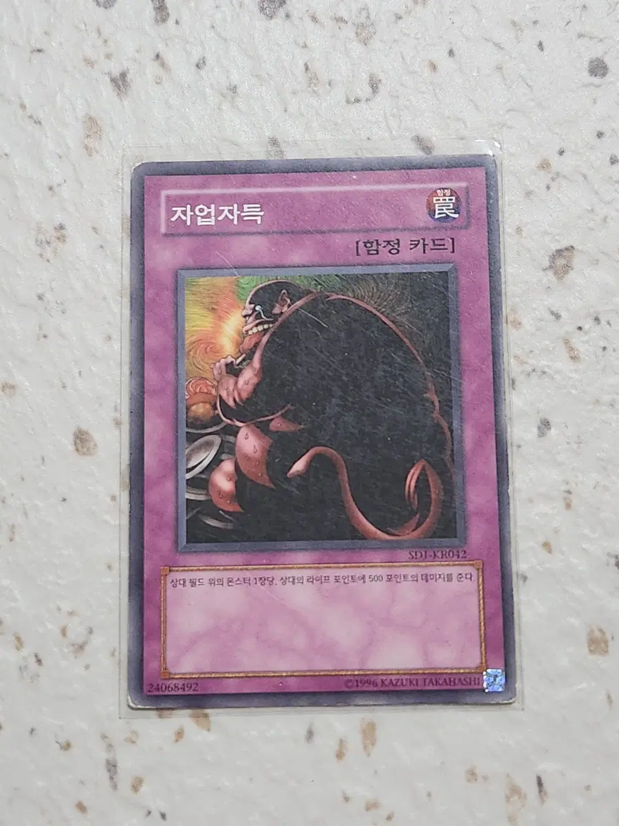 자업자득 노말 SDJ-KR042 B급
