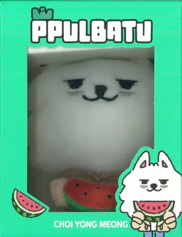 TXT 2025 PPULBATU SUMMER TOGETHER OFFICIAL MERCHANDISE 수빈 플러시 키링 수박