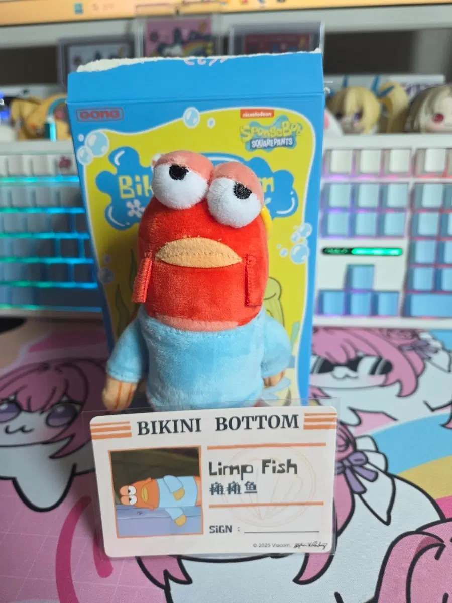 팝마트 비키니시티 힘빠진 물고기