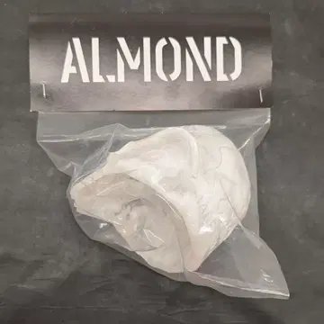 HEAD LOCK STUDIO ALMOND 클리어 성형/화이트/미페인팅