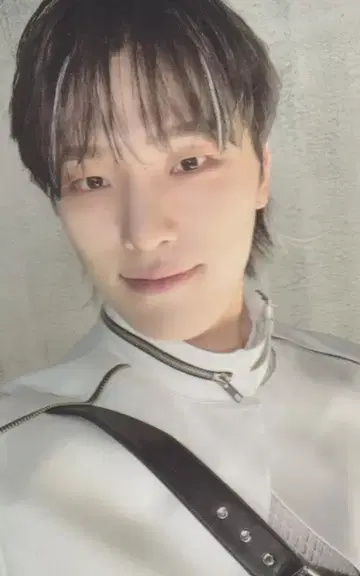 SEVENTEEN FACE THE SUN DINO 트레이딩 카드