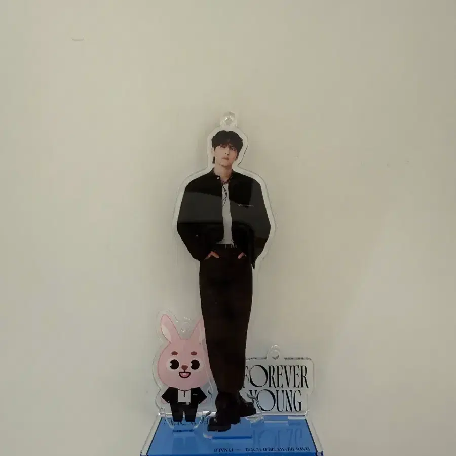 데이식스 원필 아크릴스탠딩