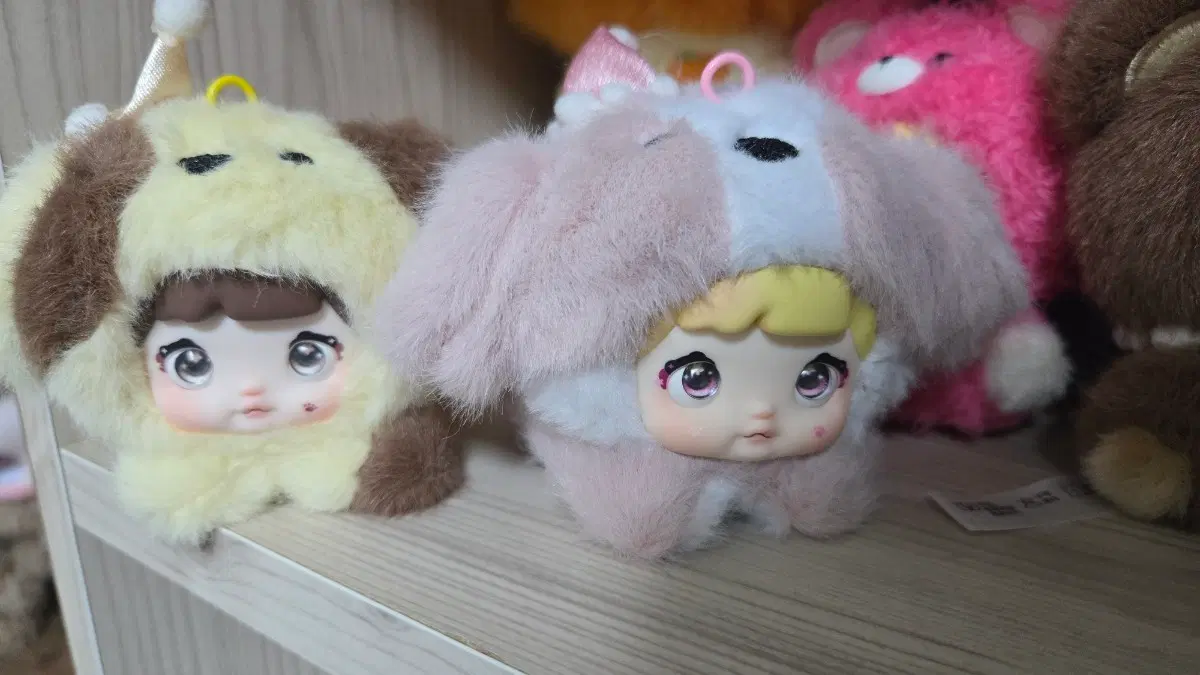 베이비쓰리 노미 쥬 강아지 일괄