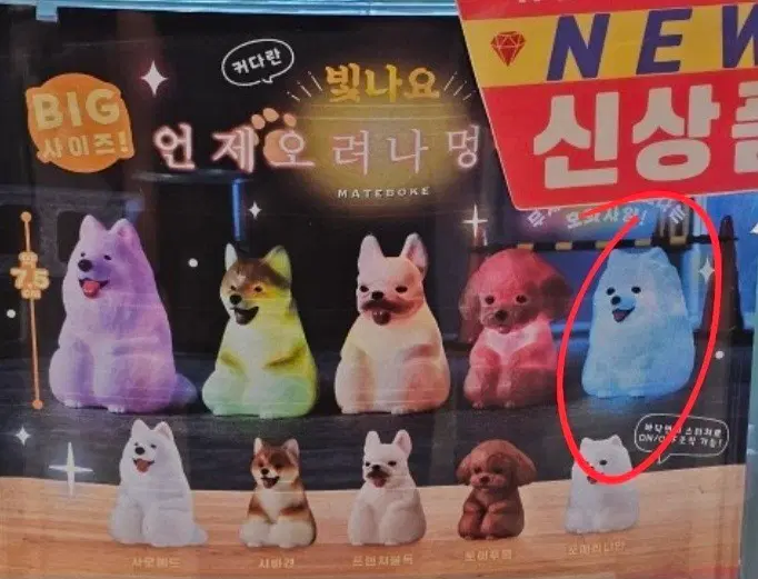 빛나요 언제오려나 강아지 포메라니안 가챠 팝니다.