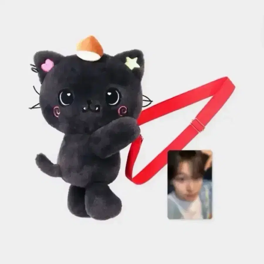 양도 위시돌 인형 가방 쿠리 팡이 포카없음