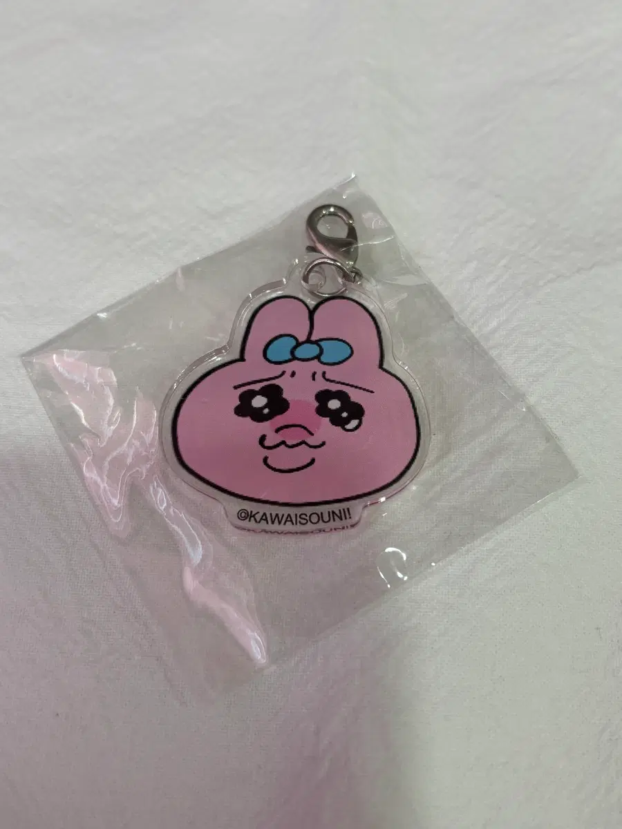 빤쮸토끼 키링