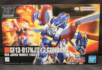 BANDAISPIRITS HG FUTURE CENTURY 1/144 반다이남코판 갓건담 반남판 +8 표기 있음 110