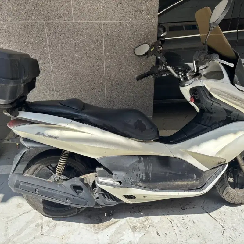 PCX 125 화이트 (묻따)