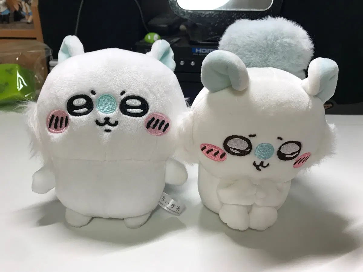 쭈굴모몽가 채집모몽가 양도합니다