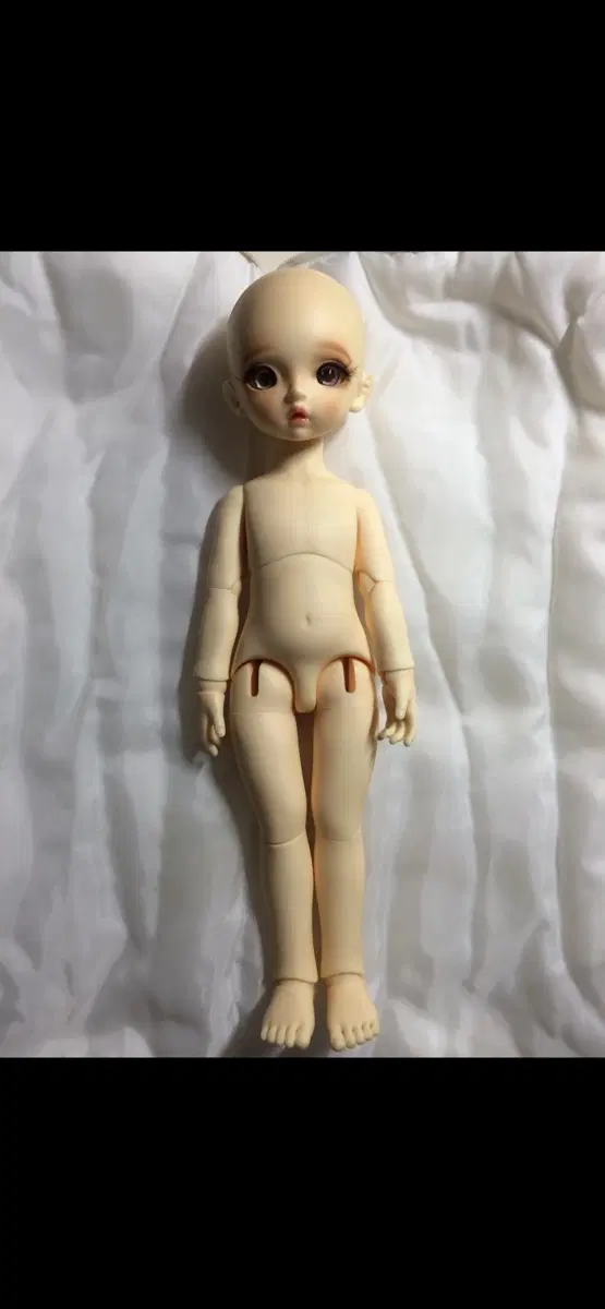 급처ㅜㅜ)))치카비 구관 몰리 물포