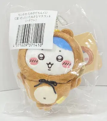 그레이 후드티 서비스 치이카와 복권 타누키다몽 복권 C상 하치와레 절대 타누키인 마스코트