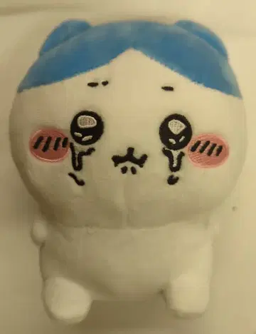 후류 울어버린 봉제 인형 치이카와 (먼작귀) 하치와레