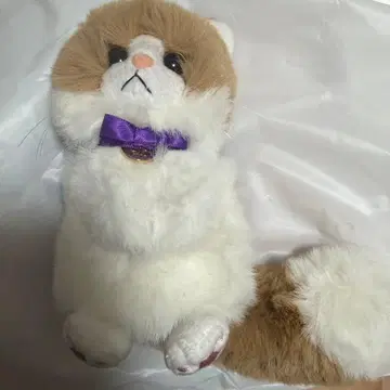 후지와라 이츠키 멘프로 힐링 마스