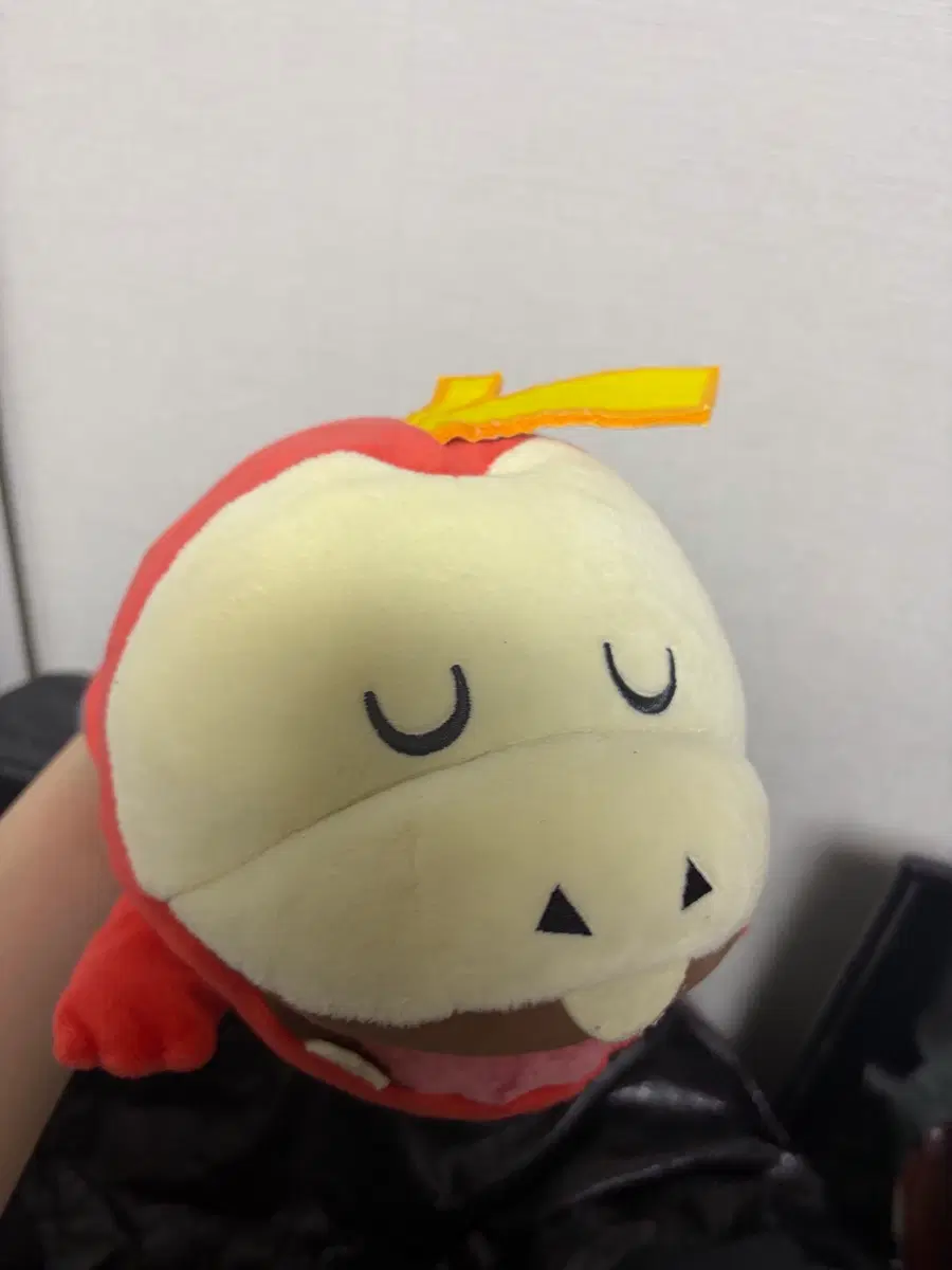꿈꾸는 뜨아거 인형 잠자는 뜨아거 인형