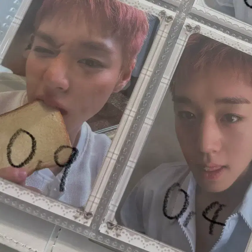 박지훈 포카 양도