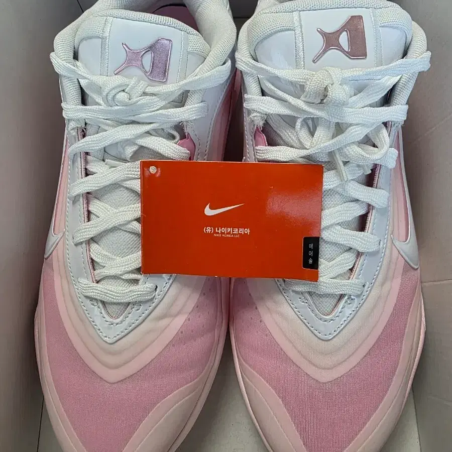 NIKE A'ONE BIRTHDAY CAKE (W285mm)