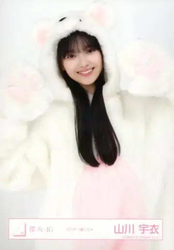 사쿠라자카46 5th YEAR ANNIVERSARY LIVE 야마카와 우이 동물 인형옷 츄
