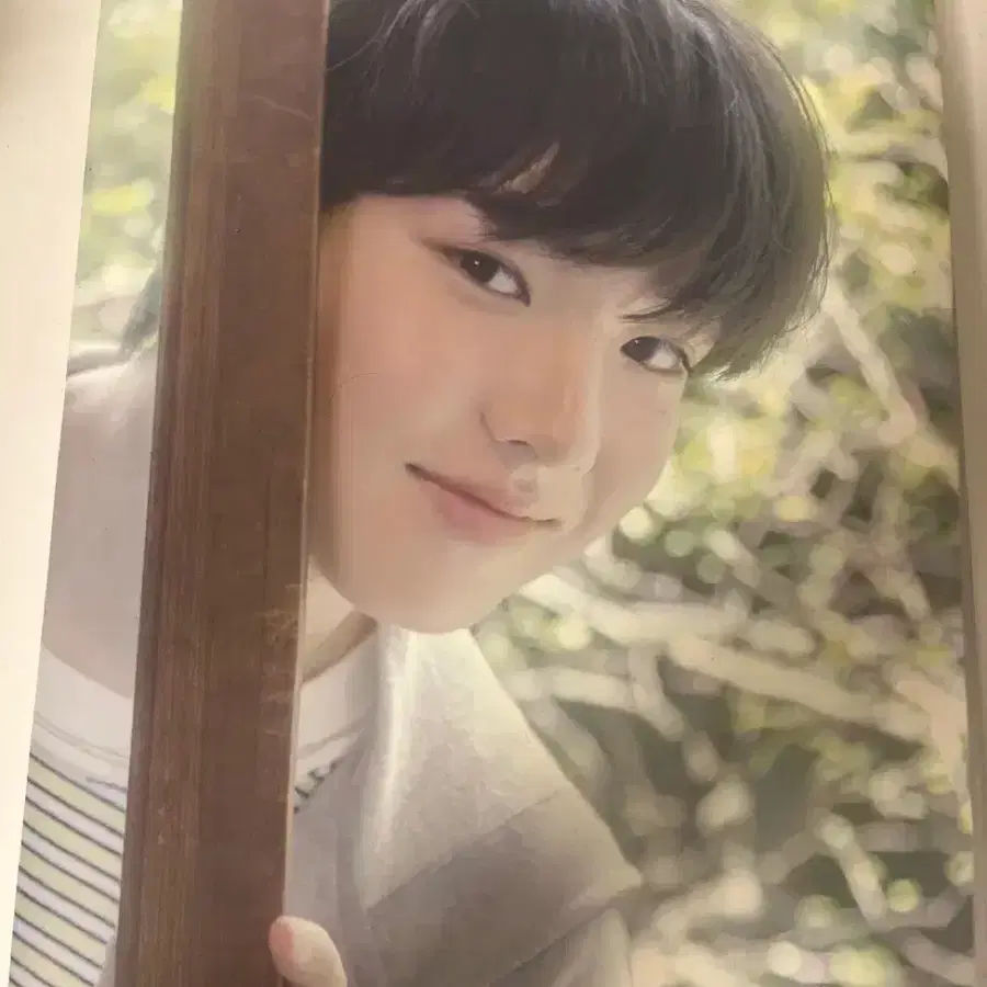 엔시티위시 사쿠야 여름 전시회 포토북 팔아용