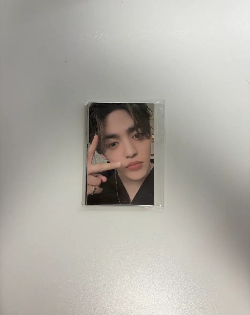 세븐틴 CARAT LAND 포카 13장 일괄 판매