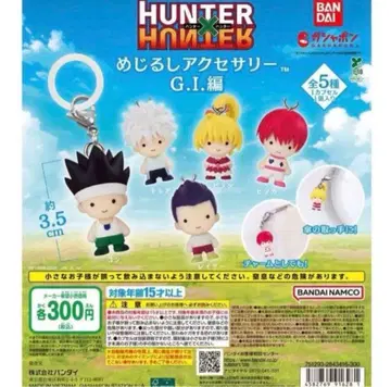 HUNTER x HUNTER 메지루시 액세서리 G.I편 컴프