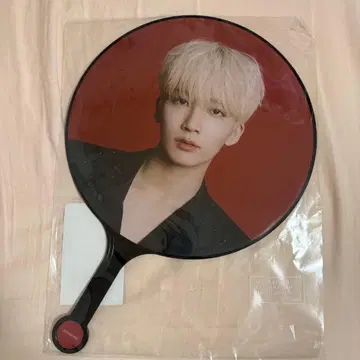SEVENTEEN power of love 정한 부채
