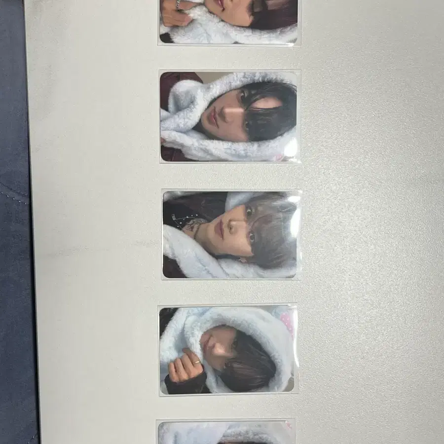 앤더블 비트로드 뽀송쥐 특전포카 5인세트 판매