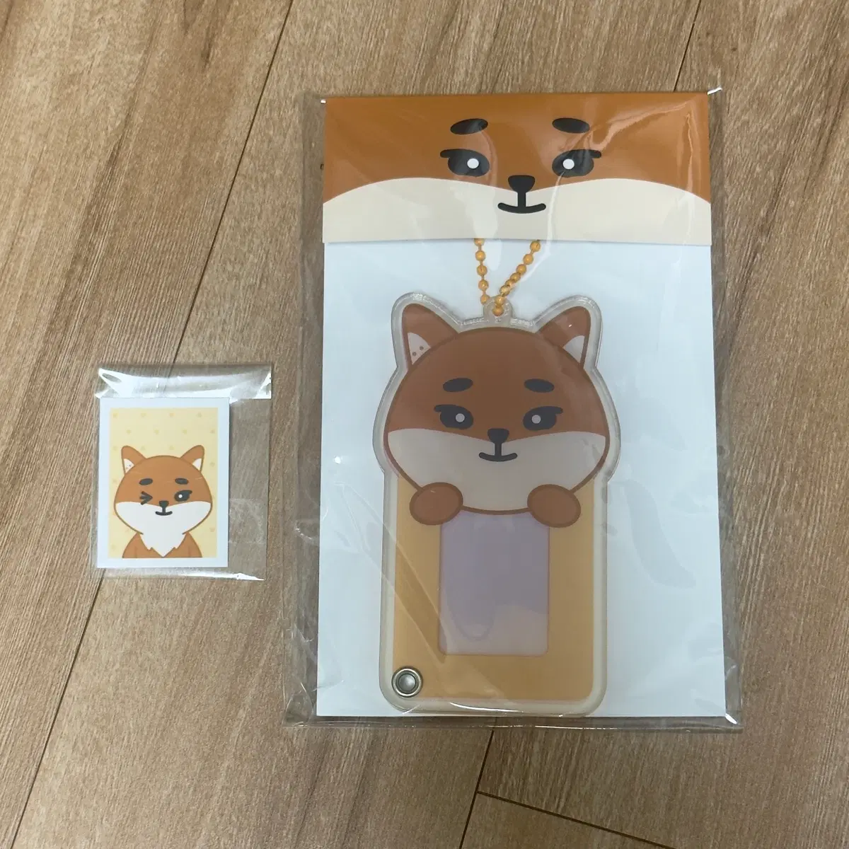 데이식스 데니멀즈 아크릴 ID홀더 증사 영케이