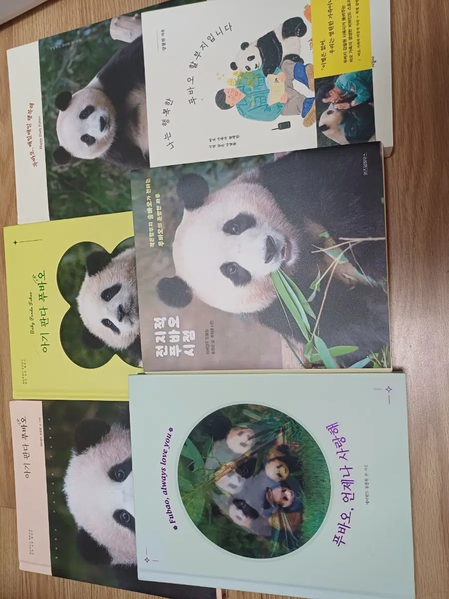 푸바오 책 6권 세트