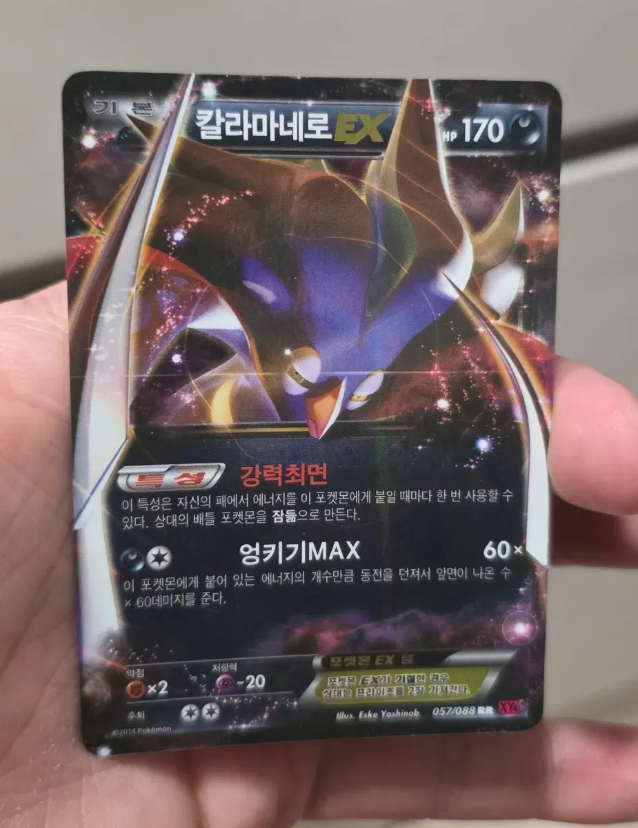 포켓몬카드 칼라마네로 EX XY
