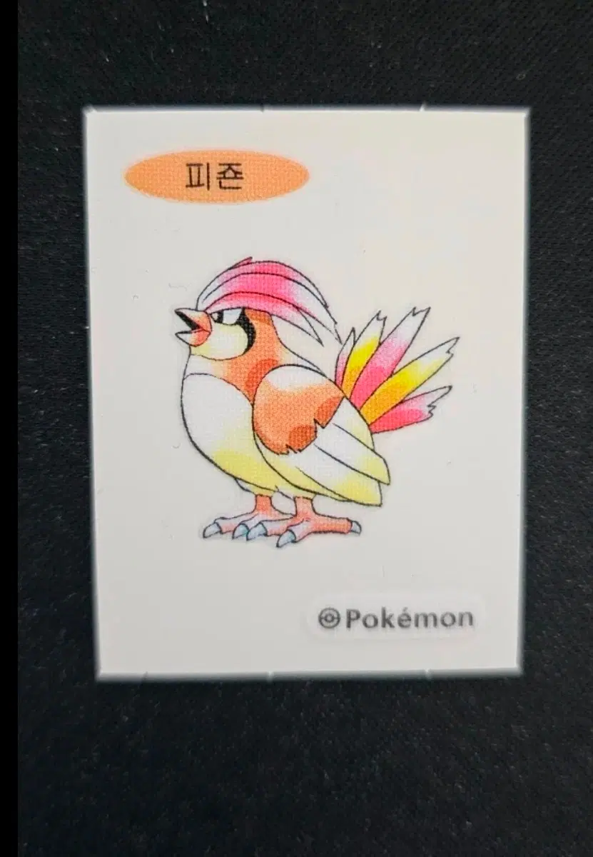 포켓몬 피죤 띠부씰(다른시즌 교환ㅇ)