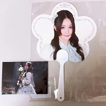 타카미네노 나데시코 하즈키 사라 미니 부채