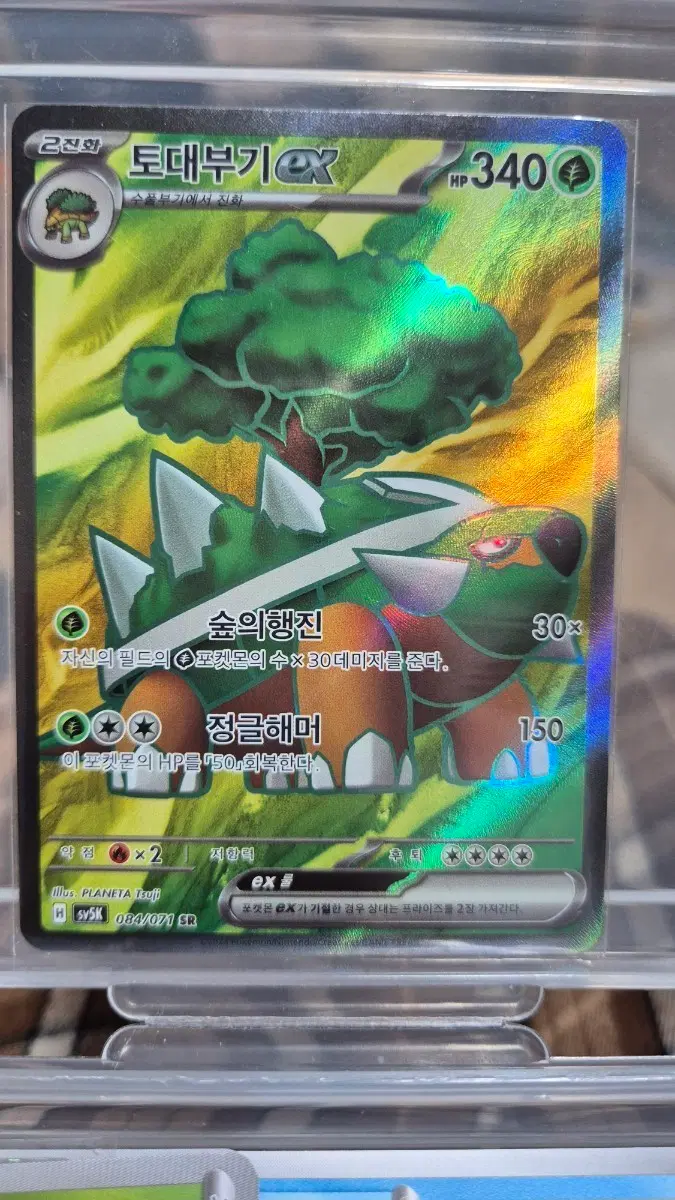 [포켓몬카드 한판] 토대부기 EX 084/071 SR