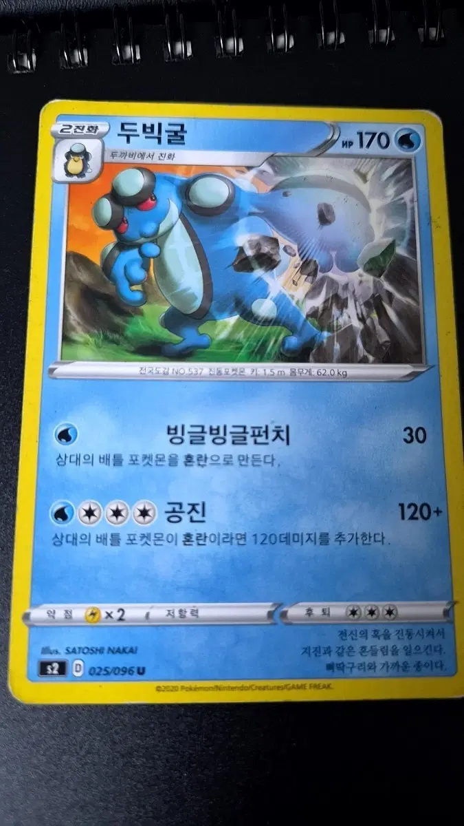포켓몬카드 두빅굴