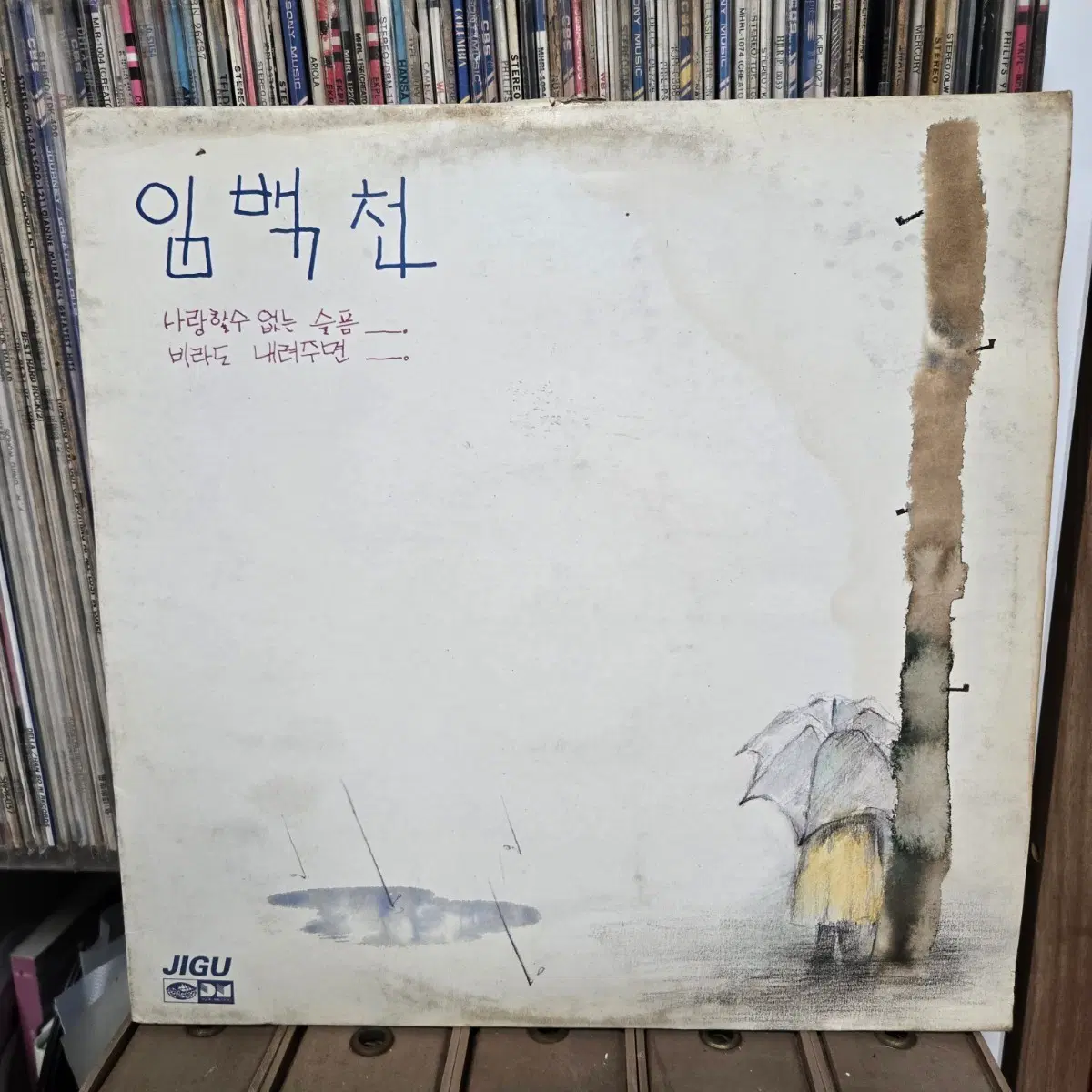 임백천 사랑할수 없는 슬픔 비라도 내려주면 LP판