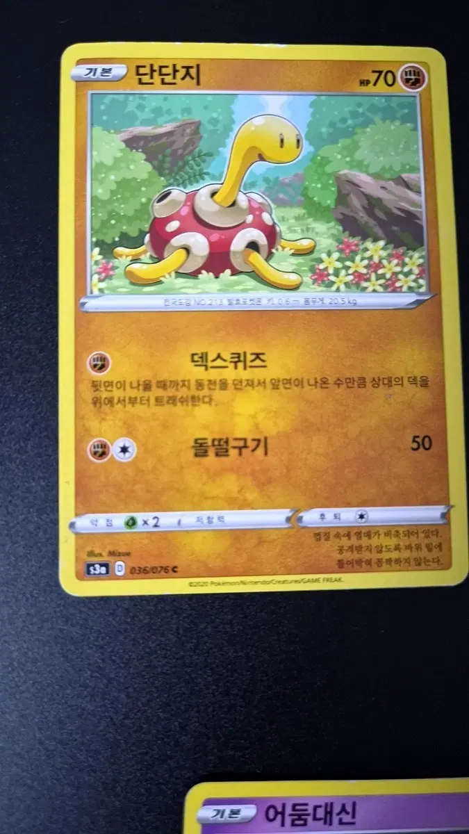 포켓몬 카드 단단지