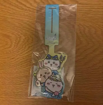 다이컷 러기지 택 치이카와 스카이트리