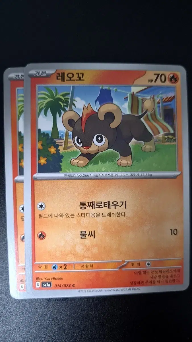 포켓몬카드 레오꼬