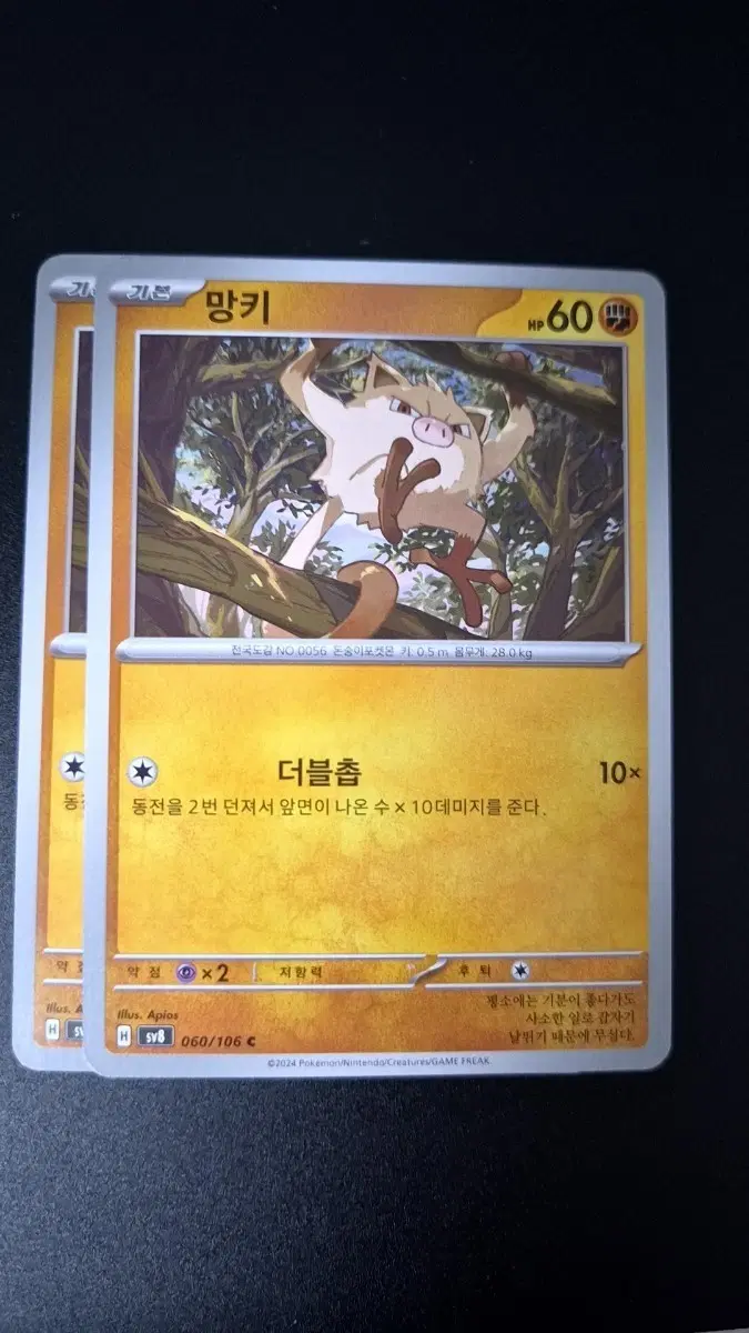 포켓몬 카드 망키
