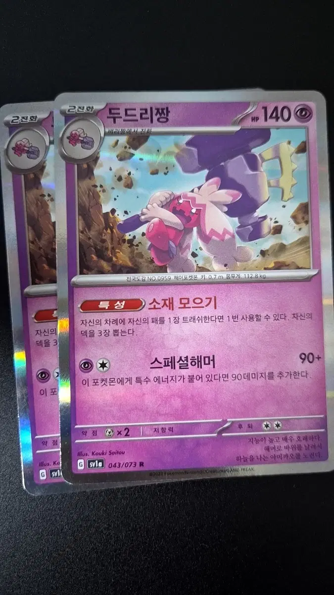 포켓몬카드 두드리짱