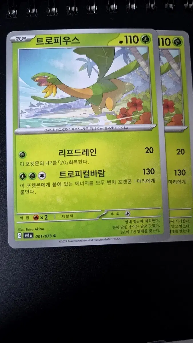 포켓몬 카드 트로피우스