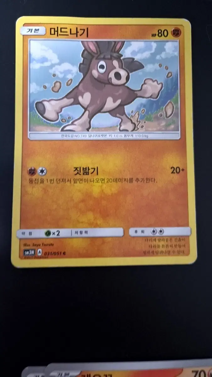 포켓몬 카드 머드나기