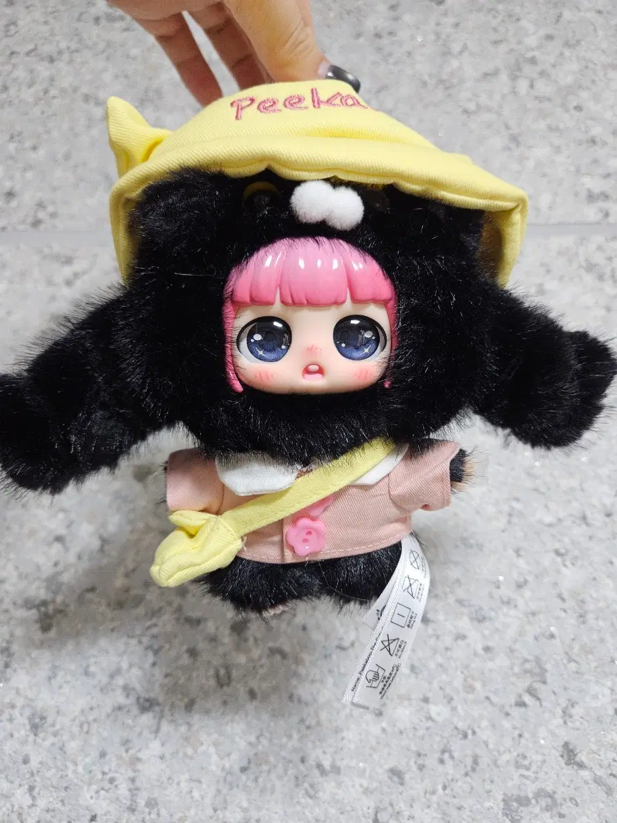 베이비쓰리 피카부 검정고양이
