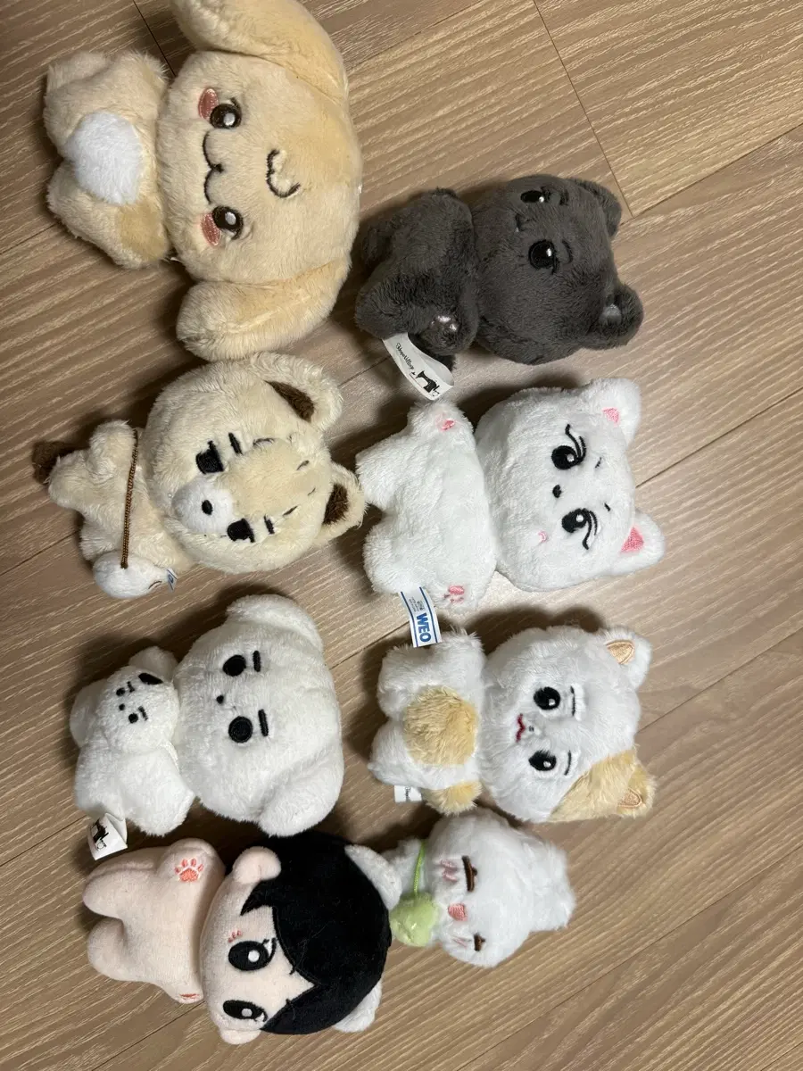 엔하이픈 인형
