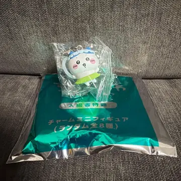 치이카와 하치와레 메지루시 키링