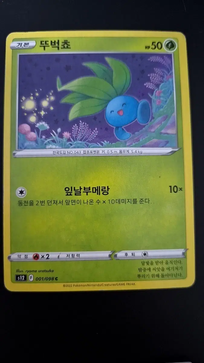 포켓몬 카드 뚜벅쵸