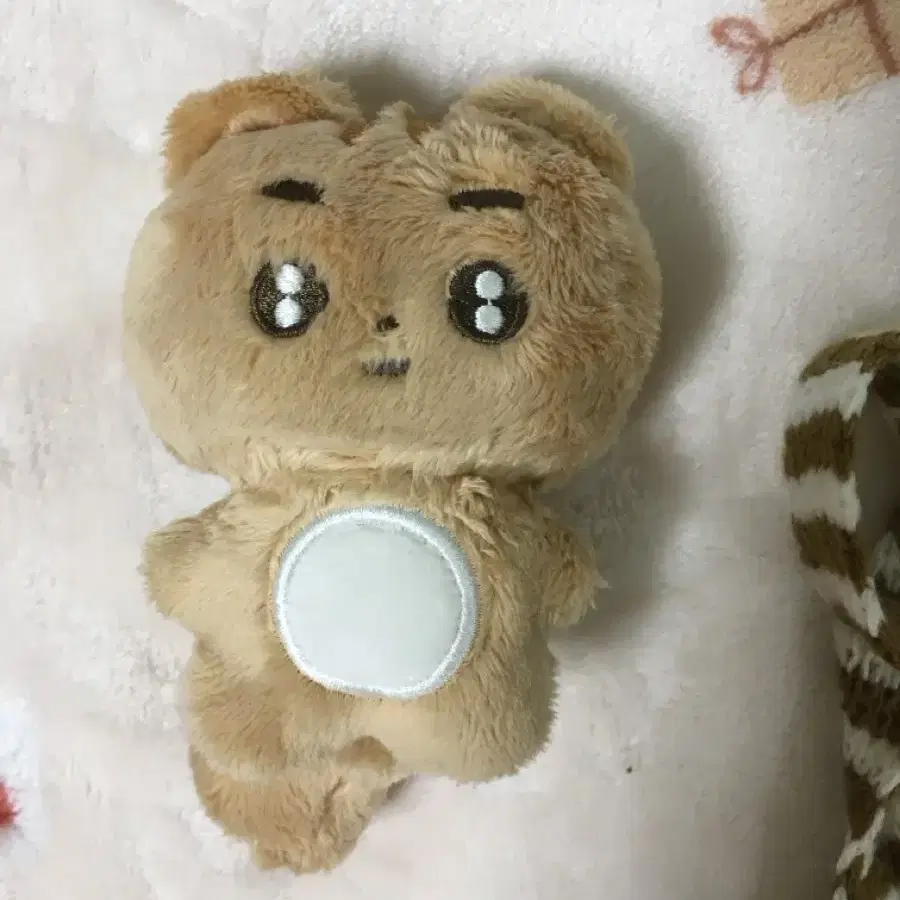 뽀바투 태현