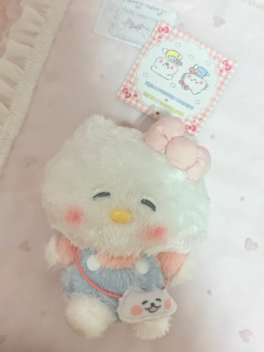 후와코로클럽 헬로키티 콜라보