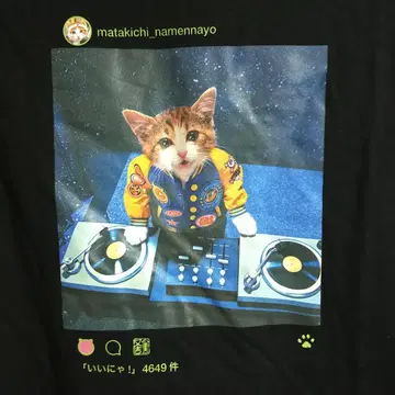 새상품급 나메응가요 DJ 얕보지마 고양이 4649 셔츠 블랙 L 매시브 어택