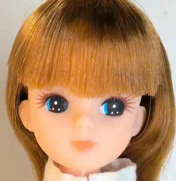 타카라 리카짱 3세대 리카짱 후기
