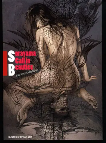 미술출판사 엽서북 소라야마 하지메 Sorayama Call in Beauties
